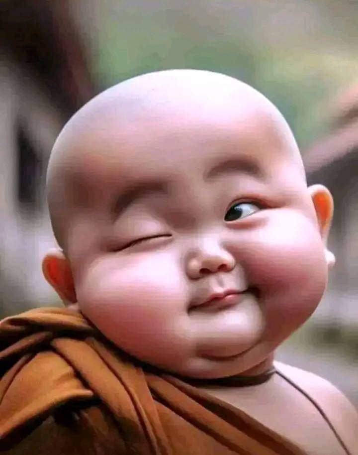 ھم پٹھان لوگ انگلش ، اردو،  بول سکتے ہیں تم سے ایک پشتو نھیں بولی جاتی, نیکموں 🤭😂
بولو: زہ تاسرہ ڈیرہ مینہ کوم🙈