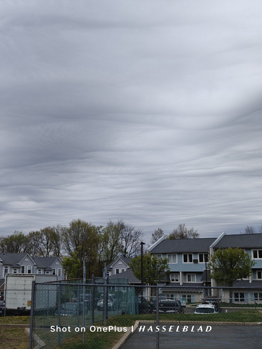 The sky and its colorless brush strokes