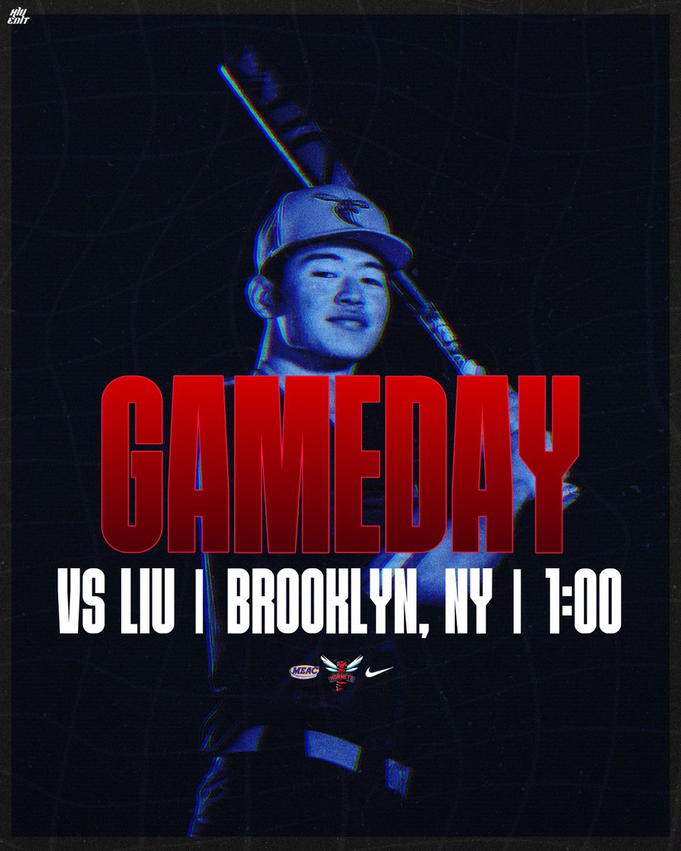 🗣 IT’S GAMEDAY⚾️
🆚 LIU 🦈
📍Brooklyn, NY.
🏟 Post Baseball Stadium
⏰ 1:00 P.M.
🎥 NEC Front Row

#GoHornets #MakeAStatement #LegacyandPride