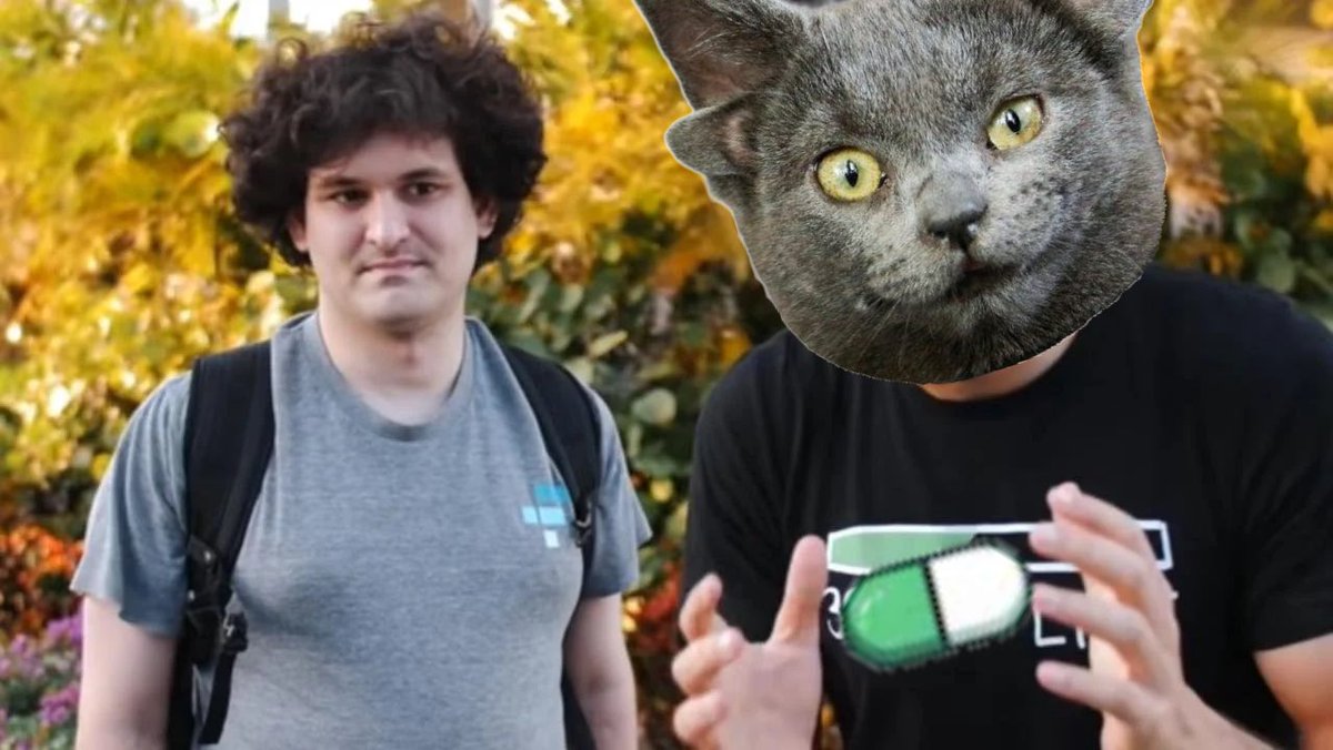 Midas the Mutated Cat ∴ tweet media