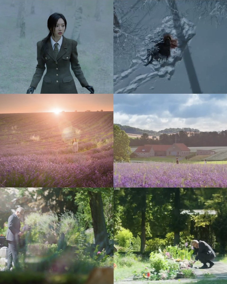 haein's episodes turns out to be a glimpse of how her future would be. 

the accident in the field where they were hunting, the lavender field where they had their happy ending, and her final resting place 😭

#QueenofTearsEp16
#QueenofTears