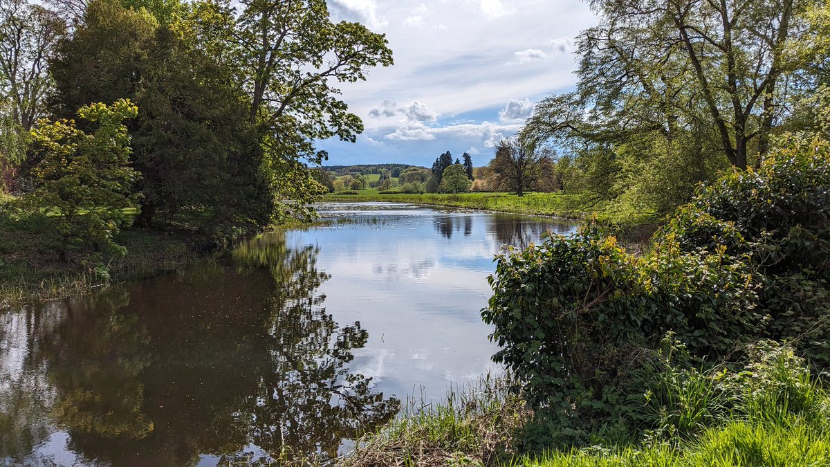 It just makes one feel better. @nationaltrust Shugbourgh Estate. My 📸 28/04/2024.