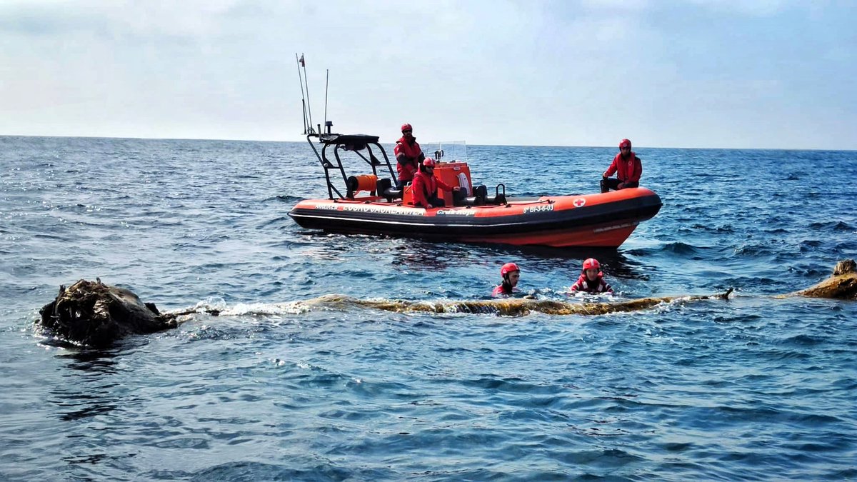 Hay quienes se mojan previamente...
para evitar que otros lo hagan por accidente.
Como los voluntarios de @CruzRojaEsp en la imagen... son muchas las personas que hacen a diario una labor preventiva tan callada como eficaz.
En La Mar Siempre Sumar...
#SeguridadNáutica #Riesgos0