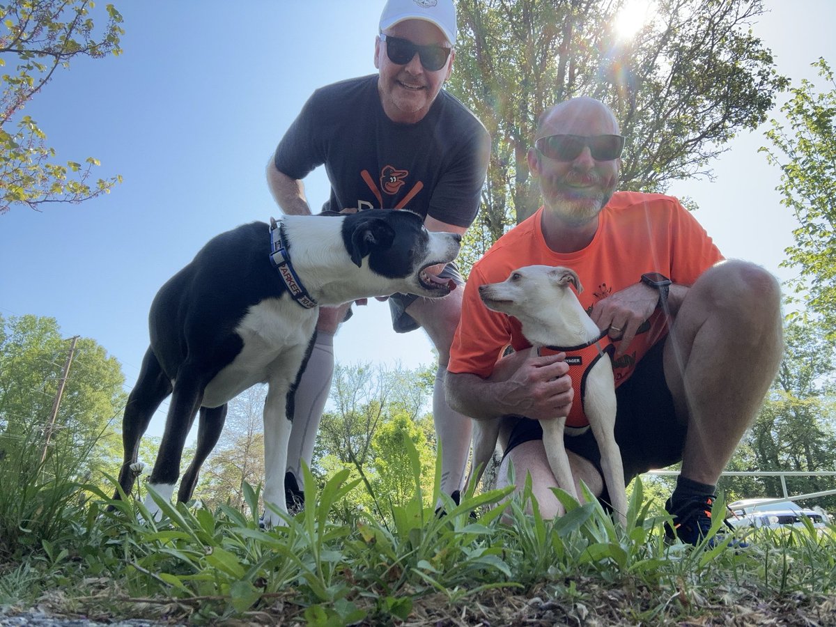 #KoaTheFeist 🐨 🐕 and Parker and The Brother getting in a good 3 miles before it gets too hot today. 
⁦@runSue19⁩
#TeamUltra 
#LoveYourRun - run