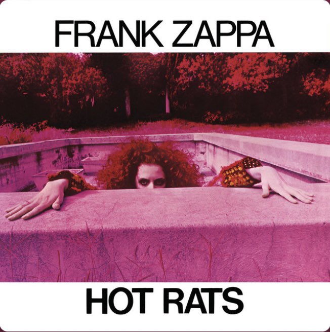 Listening to “Hot Rats”