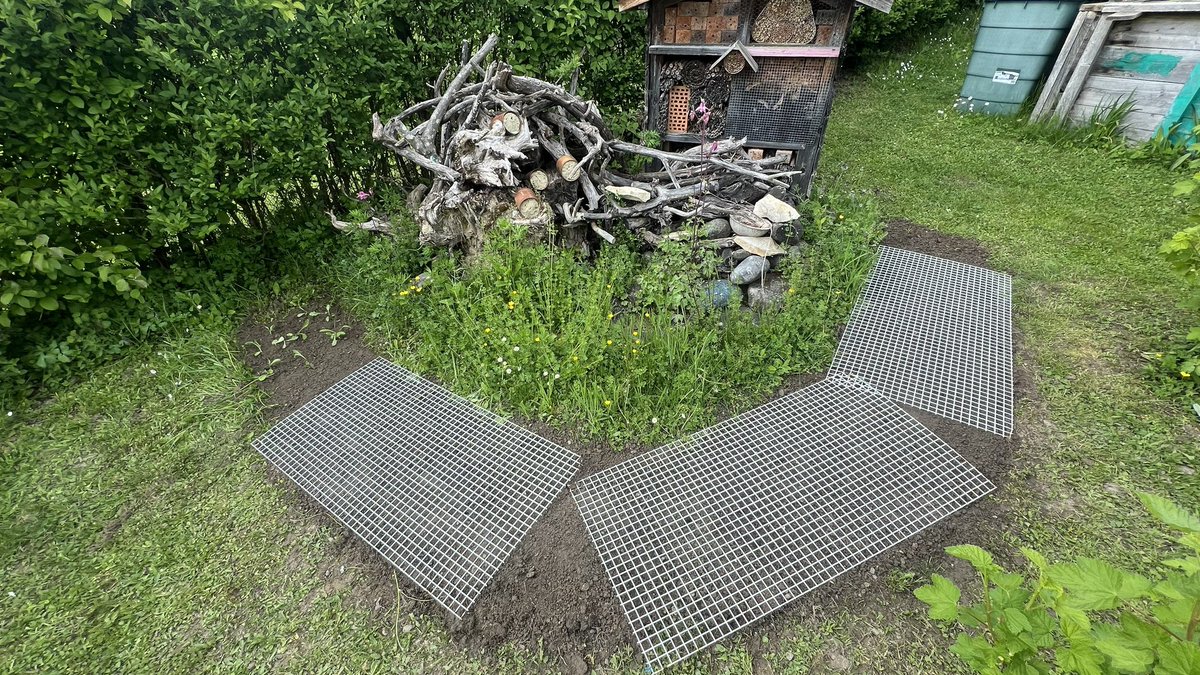 Blumenmischungen mit Wildpflanzen ausgebracht. Die Gitter sind dazu da, damit mir die Katze nicht ins Beet scheißt 💩!