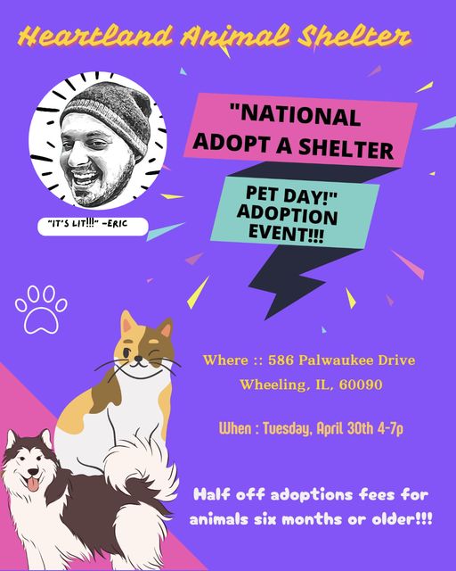 Hey #Chicago! .@AdoptHeartland National #AdoptAShelterPet #pets #Adoption #EVENT 

Half-off Fees

Tuesday 4/30

#AdoptDontShop #AdoptDontBuy #adoptaseniorpet #AdoptAShelterDog #AdoptAShelterCat #dogs #cats 

facebook.com/events/4186232…

facebook.com/HeartlandAnima…