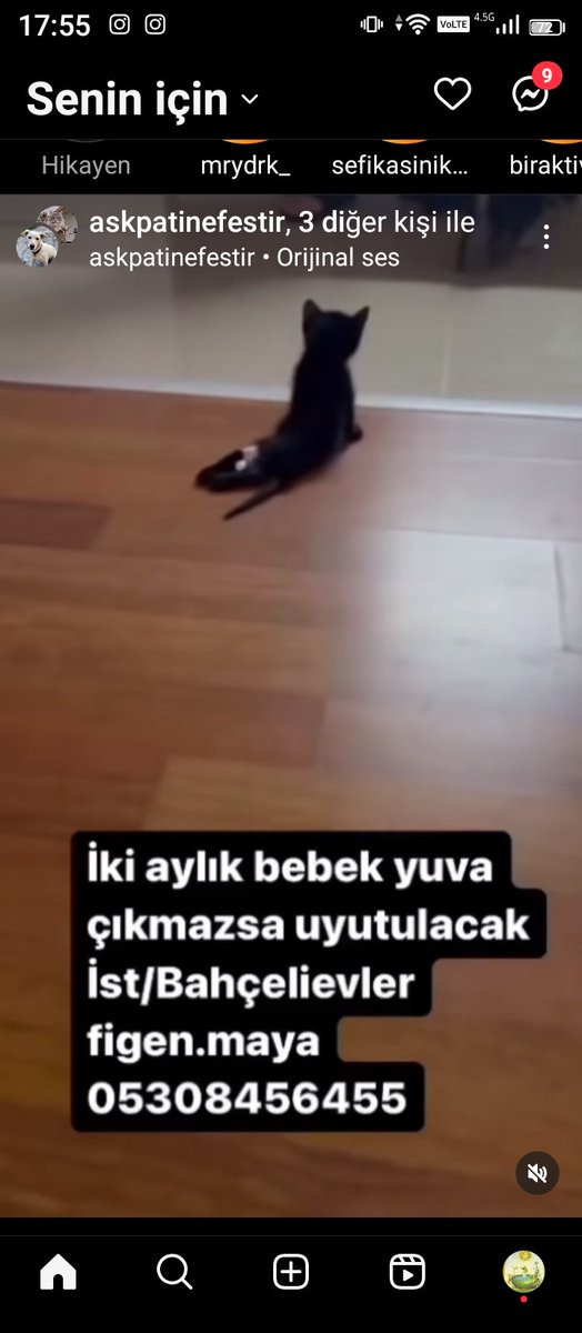 Engelli cana Acil yuva aranıyor iletişim aşağıdadır 😥