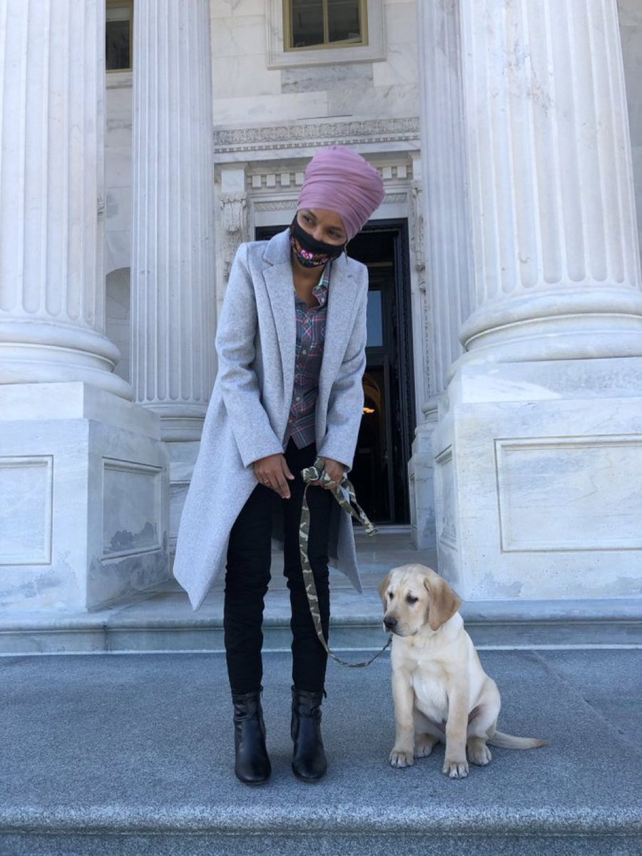 Ilhan Omar is not a Muslim whatsoever. She does nothing but cosplay one. Muslims are not allowed to have pet dogs. They’re not allowed to support LGBTQ+ rights like she does. She just wears that hat to shield herself from criticism.