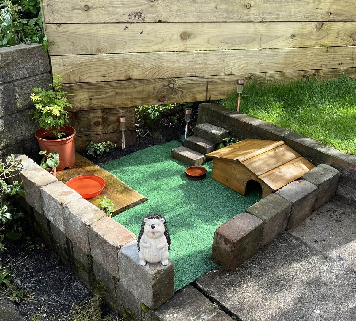 Family Fatso have been visited by the hedgehog equivalent of Stacey Solomon & had their pad renovated 😊 Do you think hedgehogs would enjoy a swimming pool? 🤔 Asking for a friend? (I’m obvs joking, I know they couldn’t use the ladder to get out) #HedgehogLove🤎