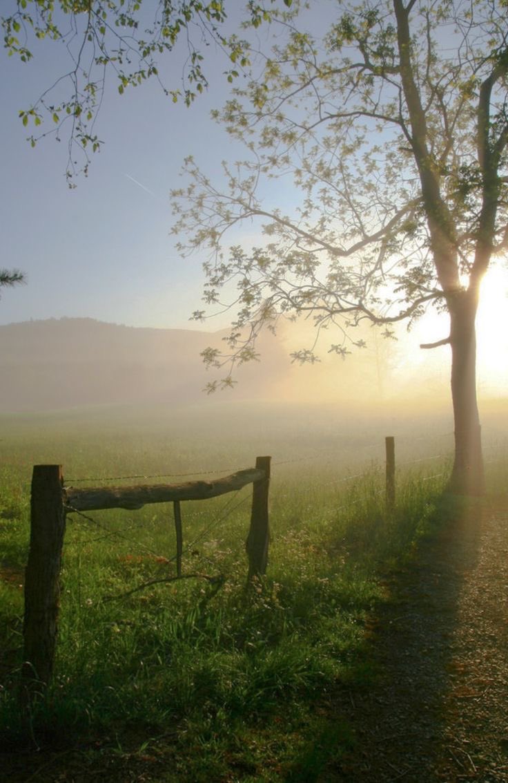 You’ll always win when you move with love and genuine intentions always. ~ by Simran yadav Misty Morning Cades Cove, Smoky Mountains