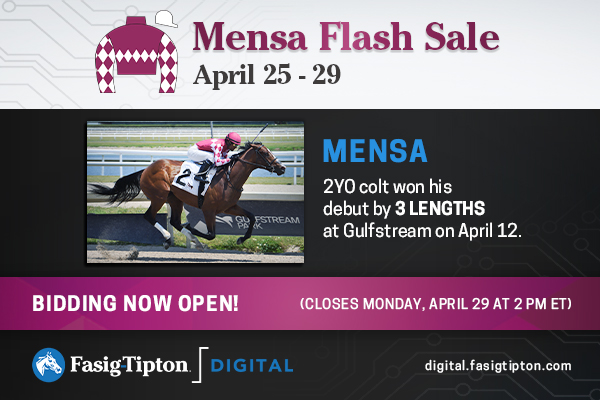 ⚡ Bidding closes TOMORROW for the Mensa Flash Sale on #FasigDigital! Don't miss your chance to own talented 2YO debut winner MENSA! ➡️ fasigtipton.co/mensa @TaylorMadeSales @DJ_Stable