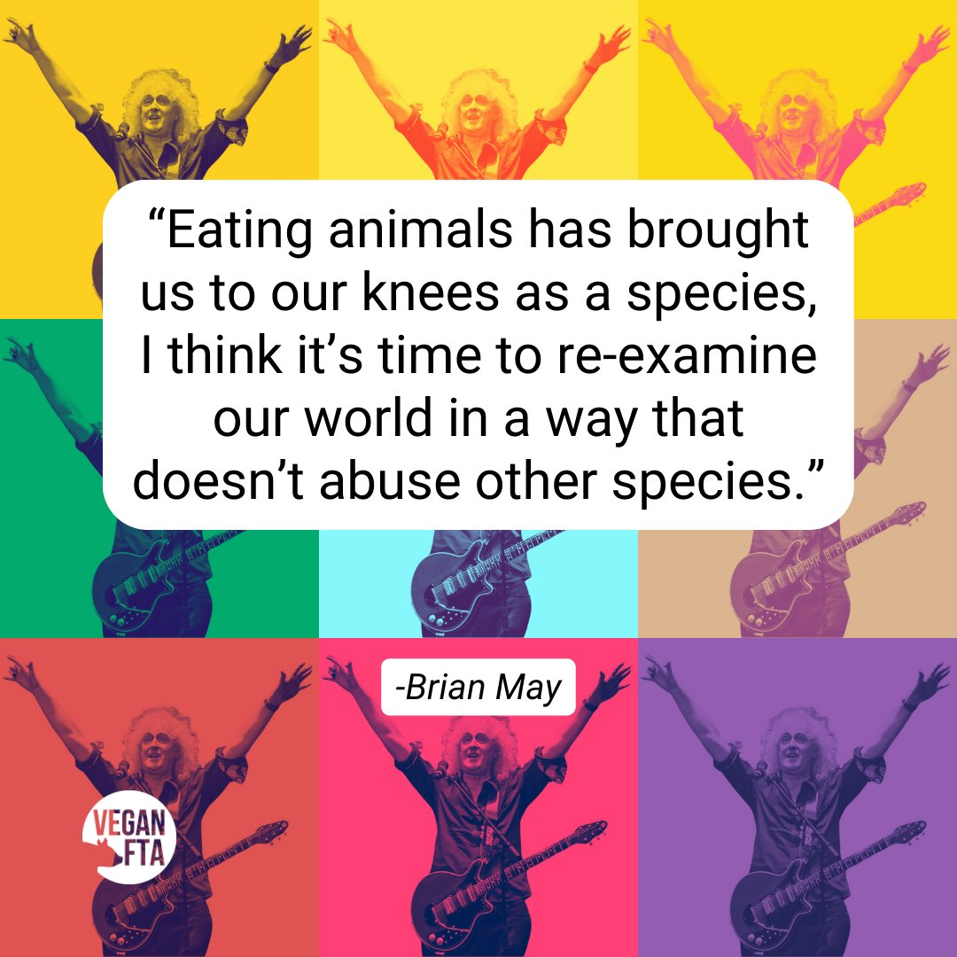 Who's ready to create a new and better world? 🙏💚 👉 For free help keeping animals in your heart and off your plate: bit.ly/VeganFTA22 📷: VeganFTA #queen #brianmay #kindness #compassion #animals