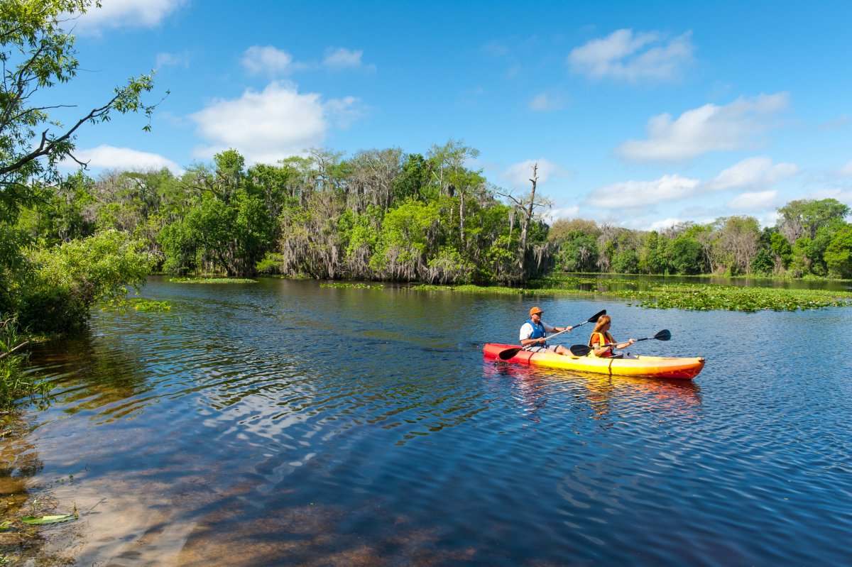 🏞️ You can easily find the perfect spot for your favorite outdoor activities on our website! 🚴‍♂️🏕️ Simply use the dropdown menu to select your preferred recreational activity, and we'll show you a list of properties. 🌿 Explore now: sjrwmd.com/lands/recreati…