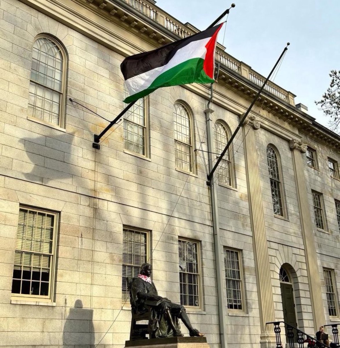Harvard Universities American flag was removed and replaced with a Palestinian flag.