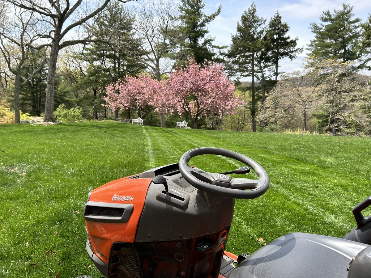 Spring Cleaning Always exciting to get back in the yard. First: pull dandelions out by the roots. Saw this monster one. Shazam. Gone. Gave the lawn its first mow. Smells so good. 1/2 @ABC7NY