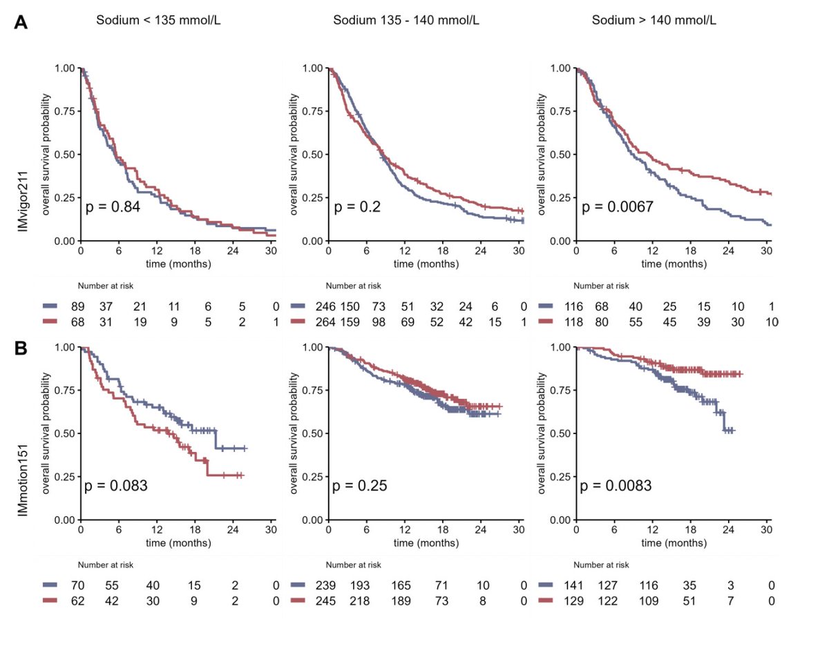 We are happy to share our current manuscript: In an exploratory post-hoc analysis of IMmotion151 (mRCC, atezo + beva) and IMvigor211 (mUC, atezo), in which we correlated baseline electrolyte concentration with ICB response and outcome in an unbiased manner, we made an interesting…