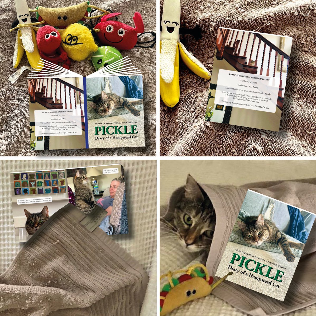Question for @TowelyTowel: when you read your favourite book, does @PickliciousF put it face down on top of you, or do you drape yourself over it? #PickleDiary 
To order, DM @GonzotheCat1 or email gonzothecat2012@gmail.com. All profits to @FelineFriendsUK & @AllDogsMatter