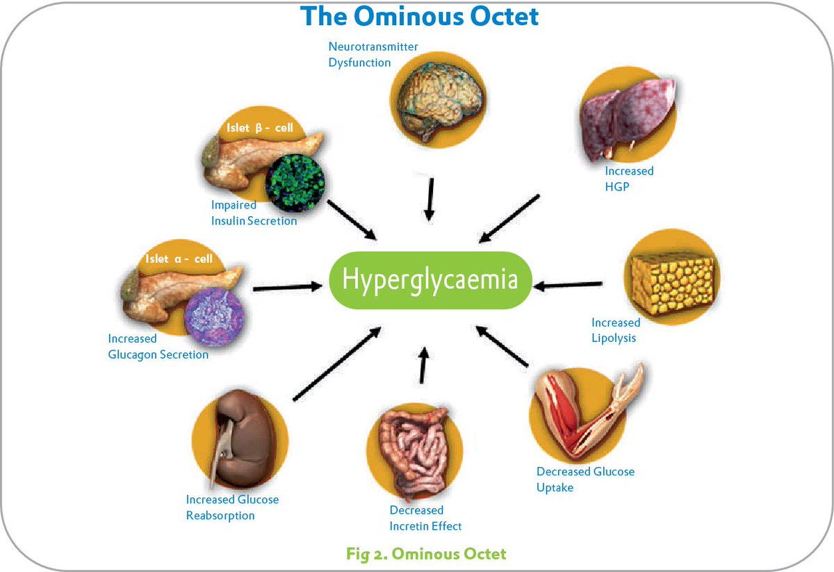 ممارس صحي ؟
مهتم بعلاج السكري النوع الثاني؟
ودك تفهم  لماذا يرتفع السكر بالتالي كيف تعالجه ؟

إليك جوهرة الأستاذ دي فرونزو
Ominous Octet

Optimal management should include early initiation of combination therapy using multiple drugs with different mechanisms of action.