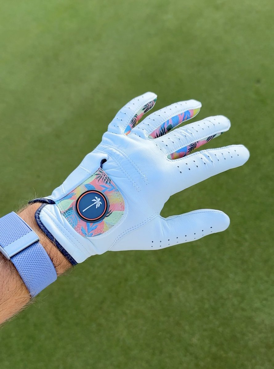 Tell me this is not the coolest glove you’ve seen! @palmgolfco 🔥