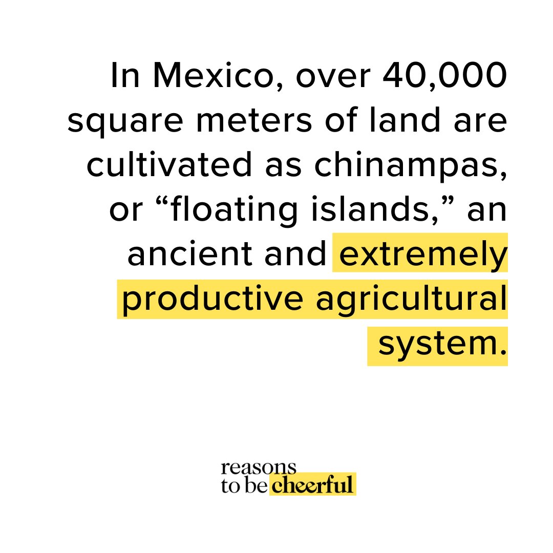 Welcome back to #StatsSunday — your statistical fix, pulled from this week’s stories.⁠ Read this stat’s story here: reasonstobecheerful.world/mexico-chinamp…