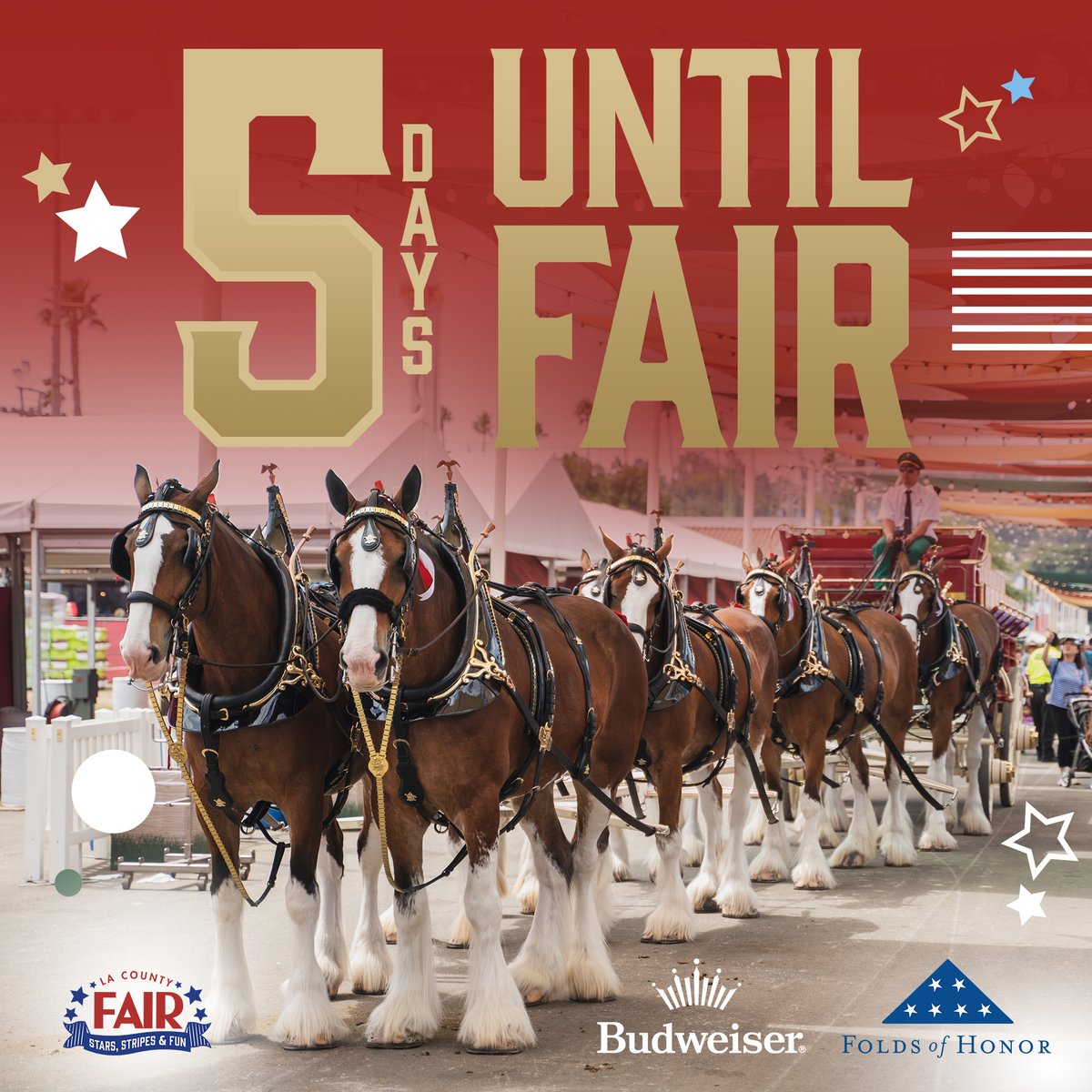 Giddy up 🐎 The World Famous Budweiser Clydesdales are back at the LA County Fair! Catch them on Farm Road, along with their trusted Dalmatian. 🐴 

Budweiser Clydesdales 🐎 
📍 Farm Road 

#LACountyFair #LACF2024 #StarsStripesFun #Clydesdales
