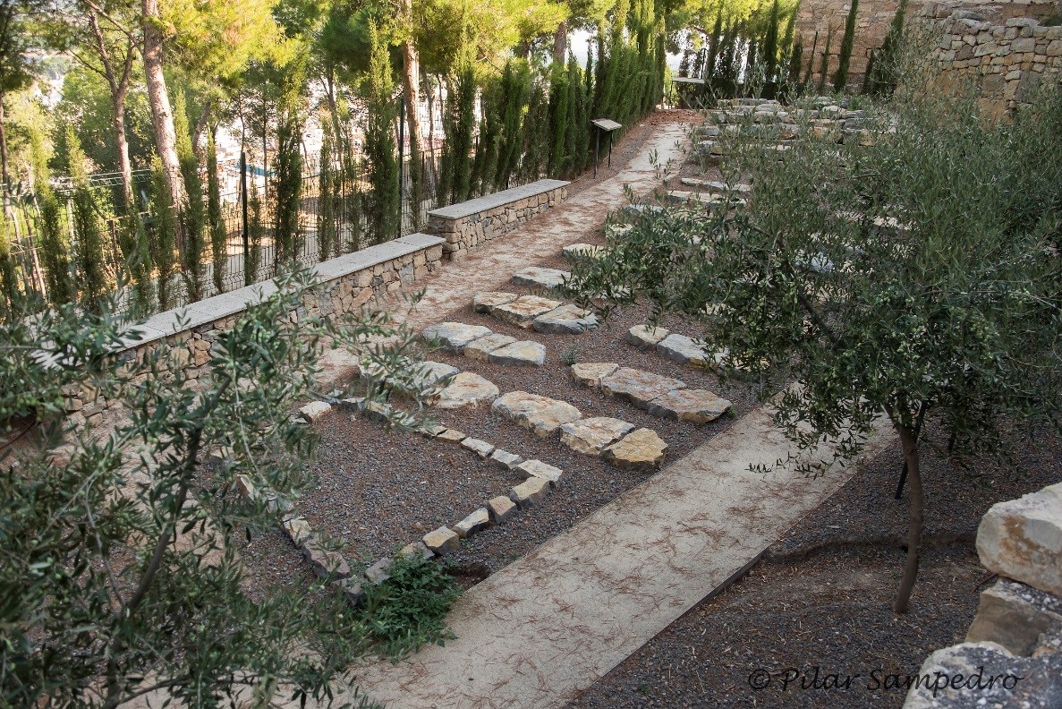 Descubre la fascinante historia de Sagunto a través de sus antiguas juderías. 

Sumérgete en la cultura y el patrimonio que aún perdura en sus calles. ¡No te pierdas esta experiencia única! 💯👏 

👉 bit.ly/45rRkav

#VisitSpain @redjuderias