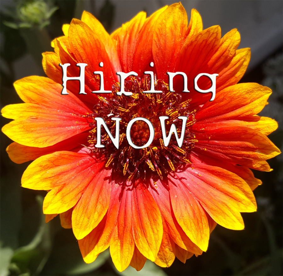 Ladies - we are always hiring #HIRINGNOW #hiring2023 #employment #job #jobseeker #Jobs #JobsForTheWeekend #JobSearch #hiringalert