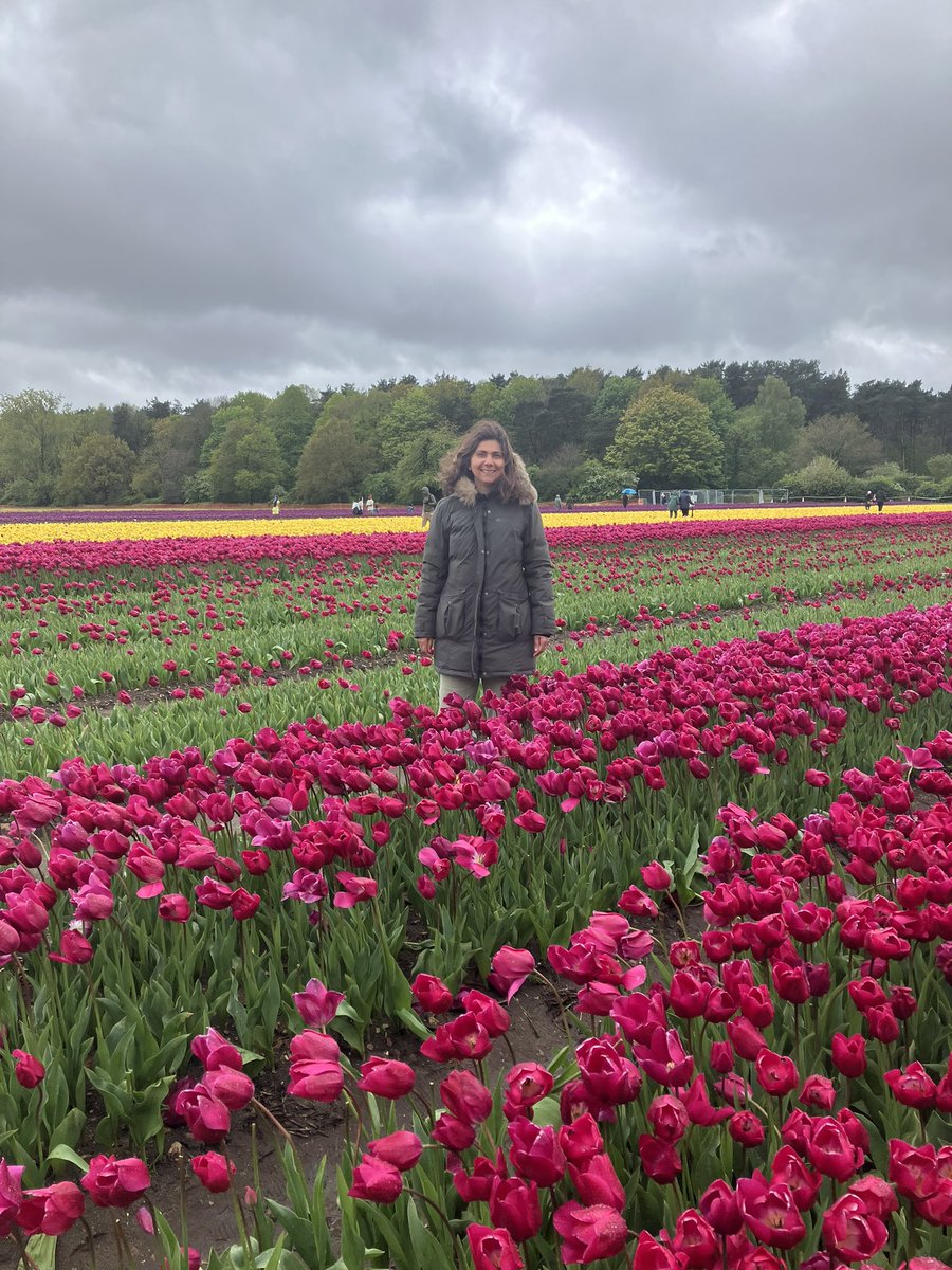 Finally went to see the Tapping House tulips 🌷 today Beautiful sight and great to contribute to a great cause too! #WestNorfolk #TulipsforTappingHouse