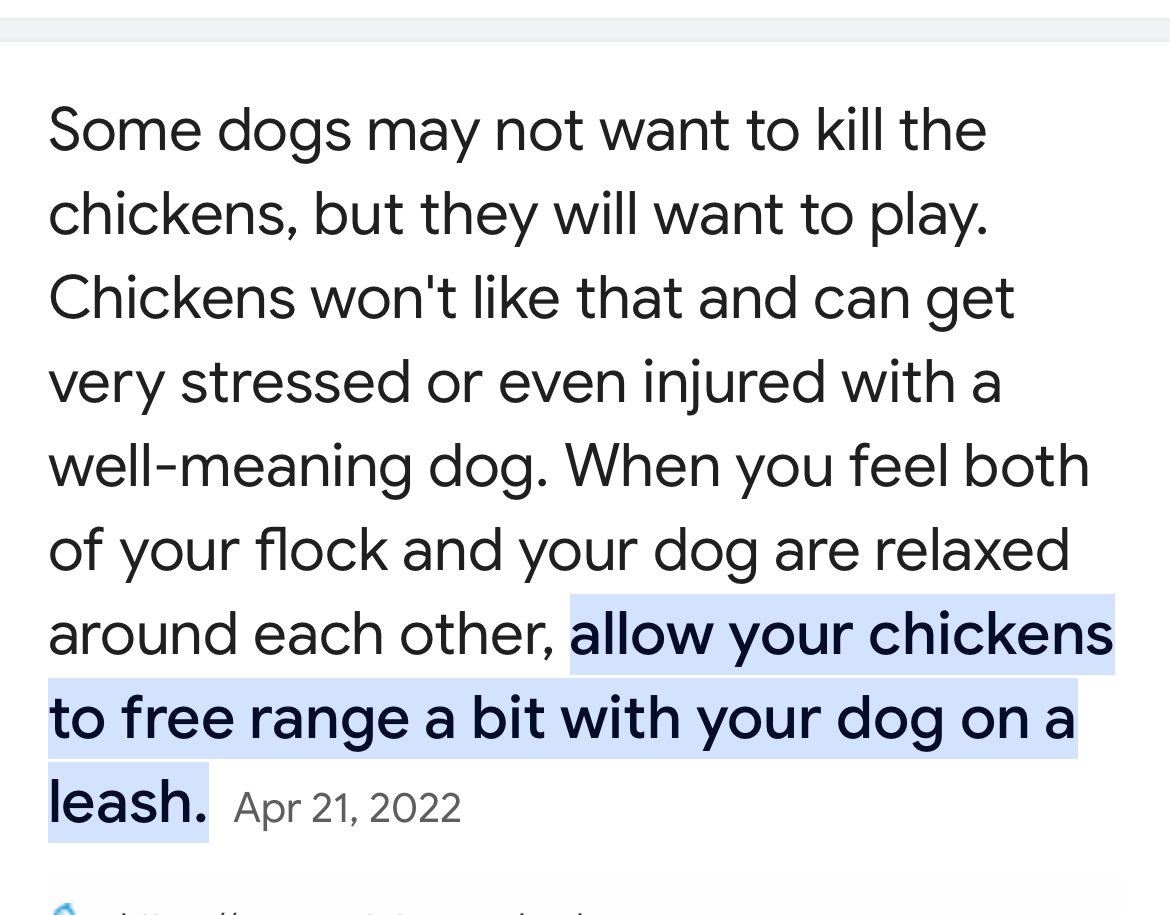 I just debunked #KristiNoem and her reasoning behind Cricket and the free range chickens. The dog was more than likely playing. READ BELOW 👇👇 about dogs and free ranged chickens #KristiNoemIsAMonster