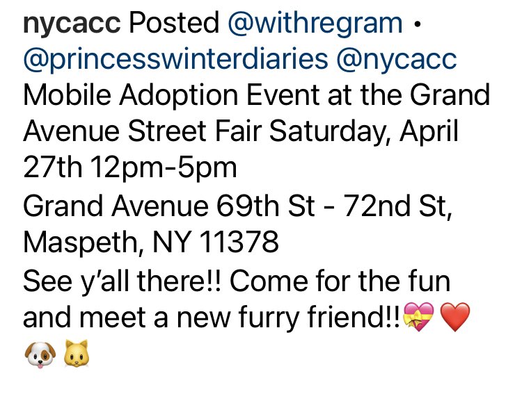 NYC ACC @NYCACC adoption event today at the Grand Avenue Fair, Maspeth, Queens. Come and meet some very good dogs: