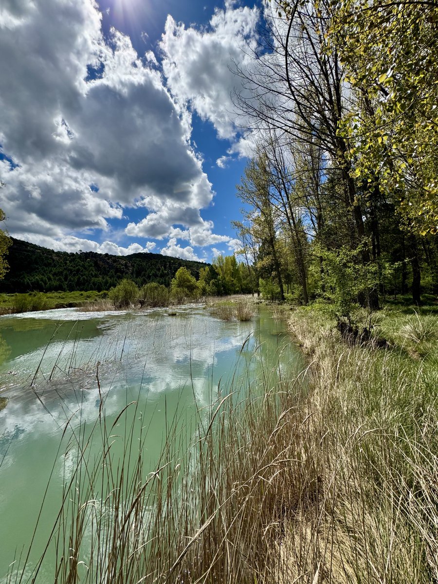 Río Júcar a la alturas de la presa de La Torre.