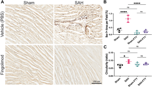 Geraghty et al: The role of serum monocytes and tissue macrophages in driving left ventricular systolic dysfunction and cardiac inflammation following subarachnoid hemorrhage

Link: ow.ly/eFVr50RkoUr

@Geraghty_Joe @neurocritical #NeuroCritCare