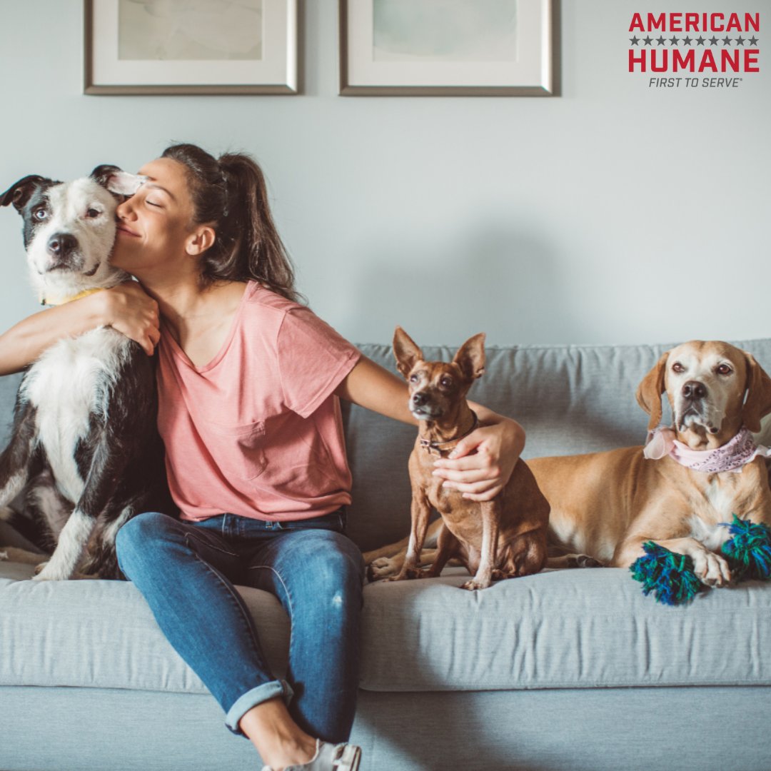 Today is #NationalPetParentsDay, a time to honor…you! Our pets brighten our lives, and we do the same for them. Let’s take a moment to cherish the bond that animals and their owners share. To all the pet parents, thank you for being amazing caregivers to your best friends 🐾❤️
