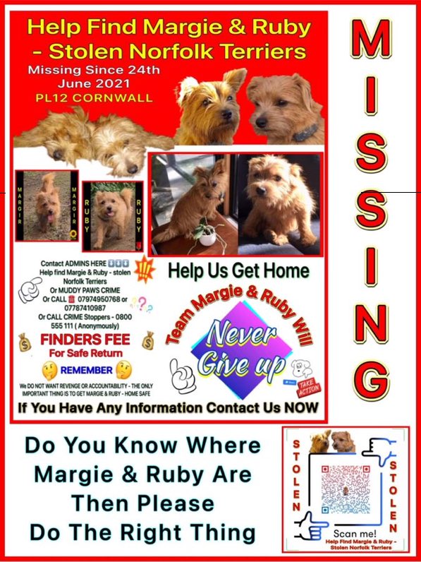Please RT 🙏 Have you seen Margie & Ruby ? They were stolen from their farm between Landrake & Pillaton in SE #Cornwall #PL12 on 24th June 2021. Someone somewhere knows where they are. Please let these girls go home where they belong 😢🙏 #NorfolkTerriers #SundayMotivation