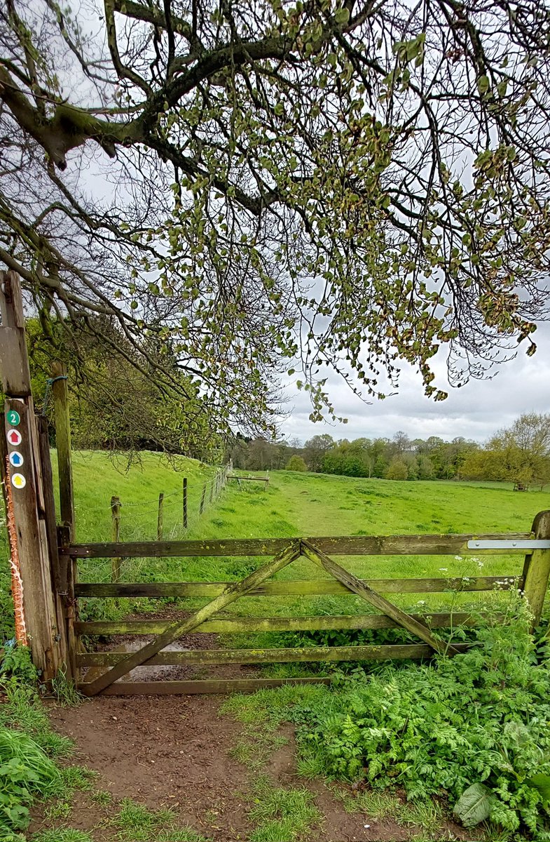 View over the gate at Snettisham #gates #view #countryside