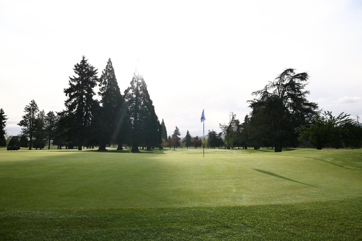 Stage is set for Round 3️⃣!

📊: tinyurl.com/268vyu43
📺: tinyurl.com/2r3b9n4w

#GoWyo #MWMGOLF