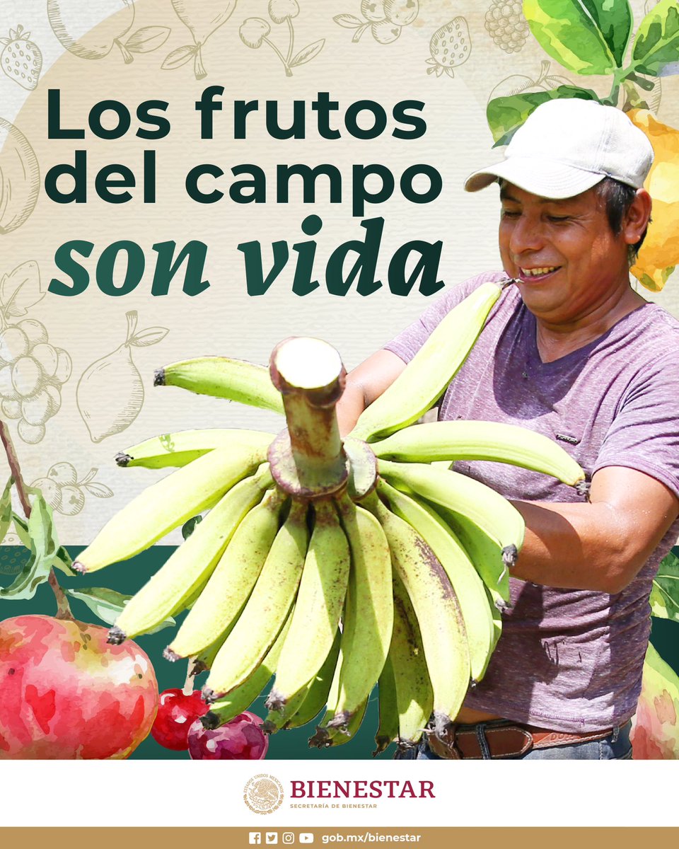 El sabor, dulzura y los colores de los frutos que nacen del campo, son el orgullo que compartimos con #México y el mundo.

#PrimeroLosPobres