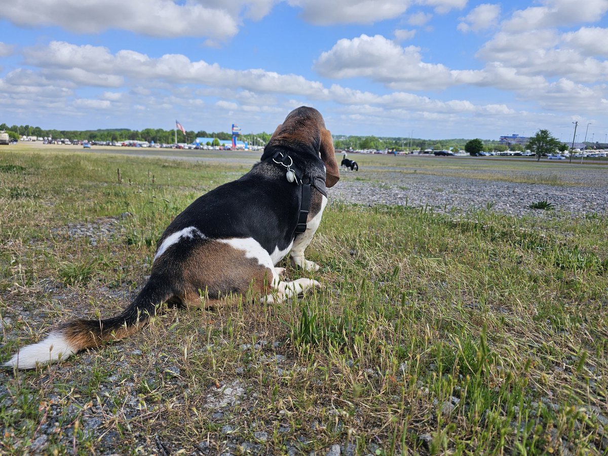 Harvey watching over all of us here at @NHRA Charlotte