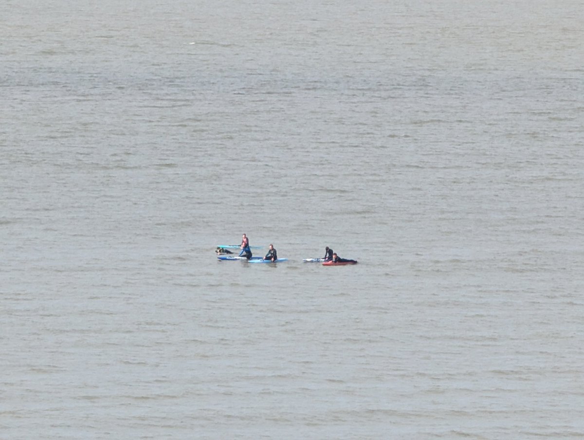 Rhoose Lifeguards tweet media