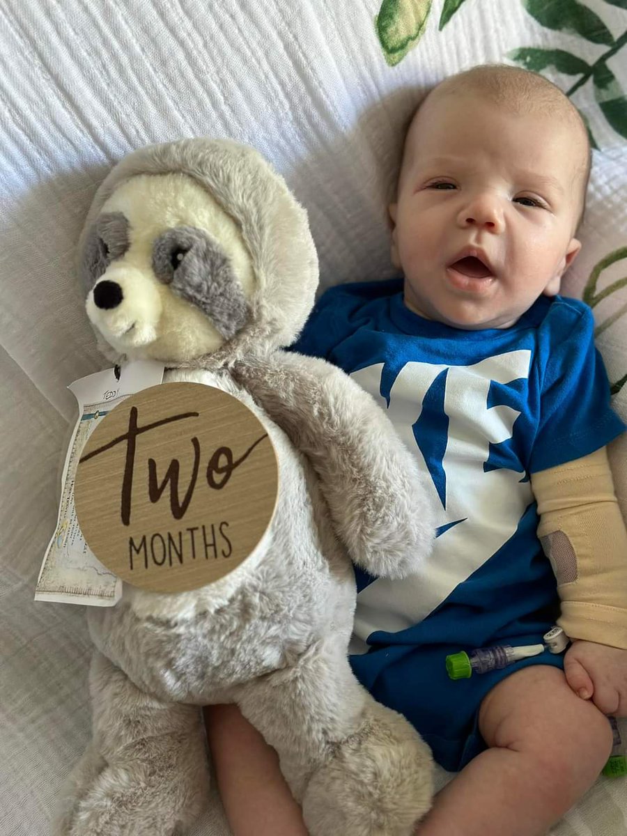 Teddy’s sloth arrived a few days ago in Florida USA 🇺🇸 just in time for his 2 month photoshoot! Thanks so much for spreading awareness and support!
#PompeDisease #NewbornScreening #FindYourTribe #RareDisease