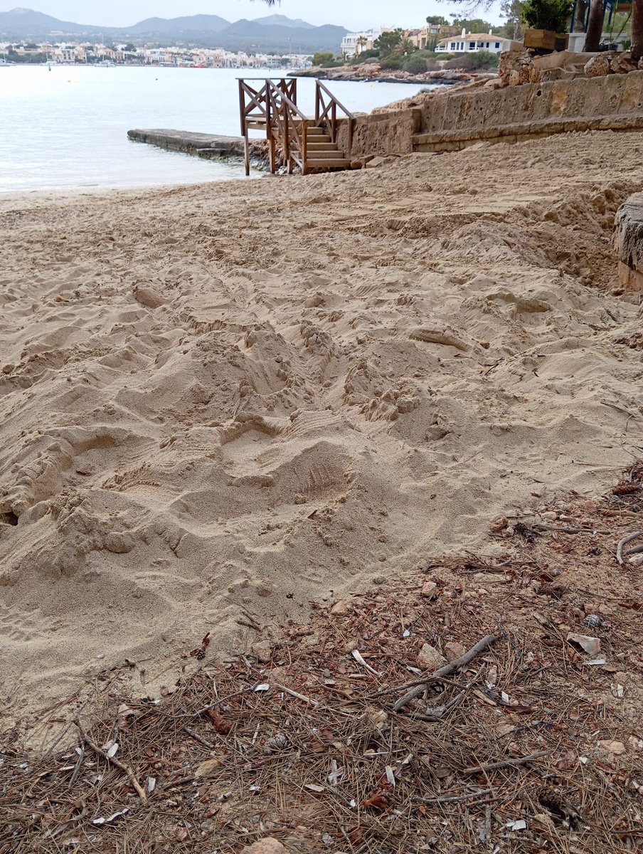 Com arriben tones i tones d'arena a una platja (s'Arenal petit, Portocolom)? D'on provenen, tenen permís, quin és l'objectiu, el promotor...? @AjFelanitx @blocperfelanitx @SetmFelanitx