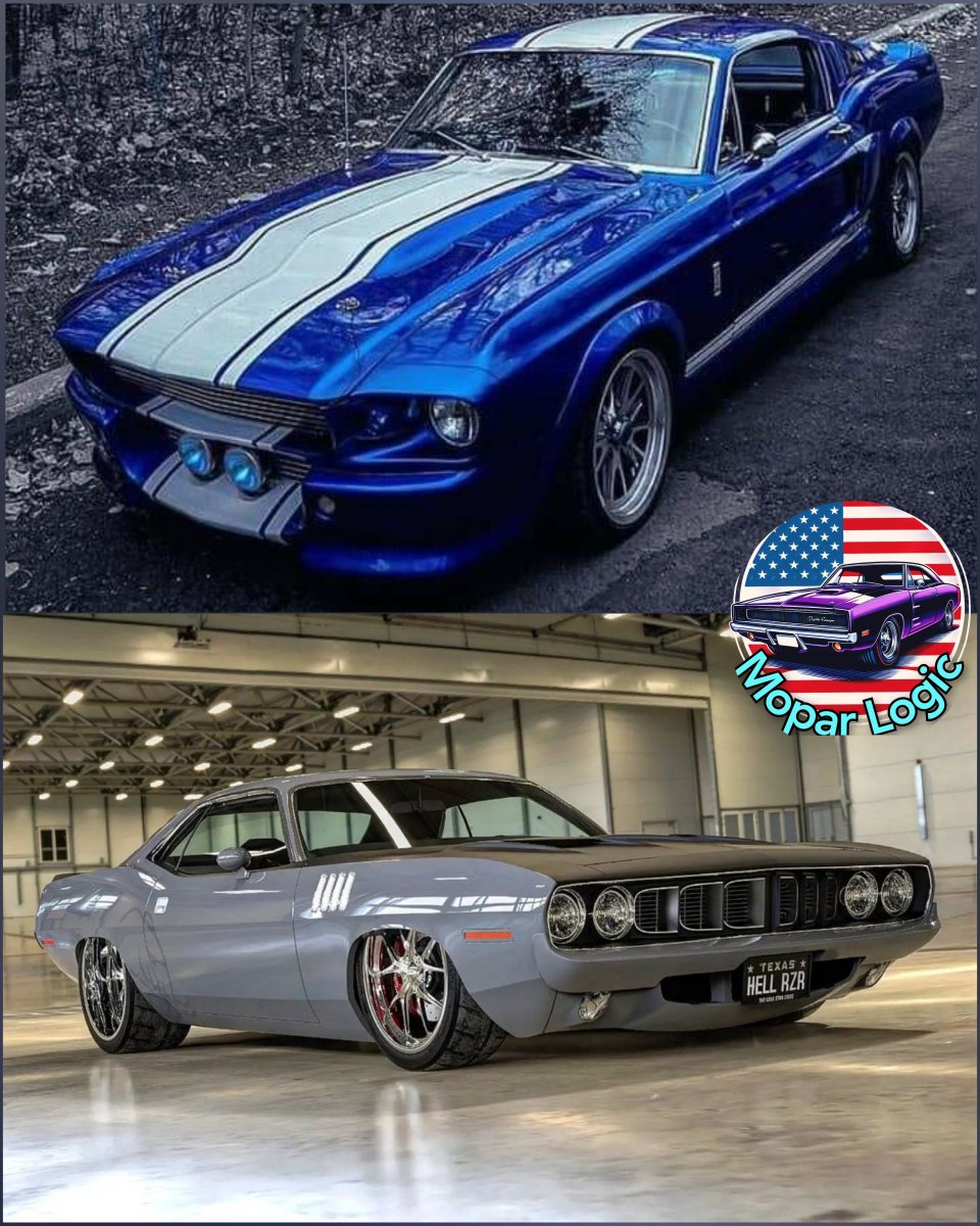 Top or bottom?