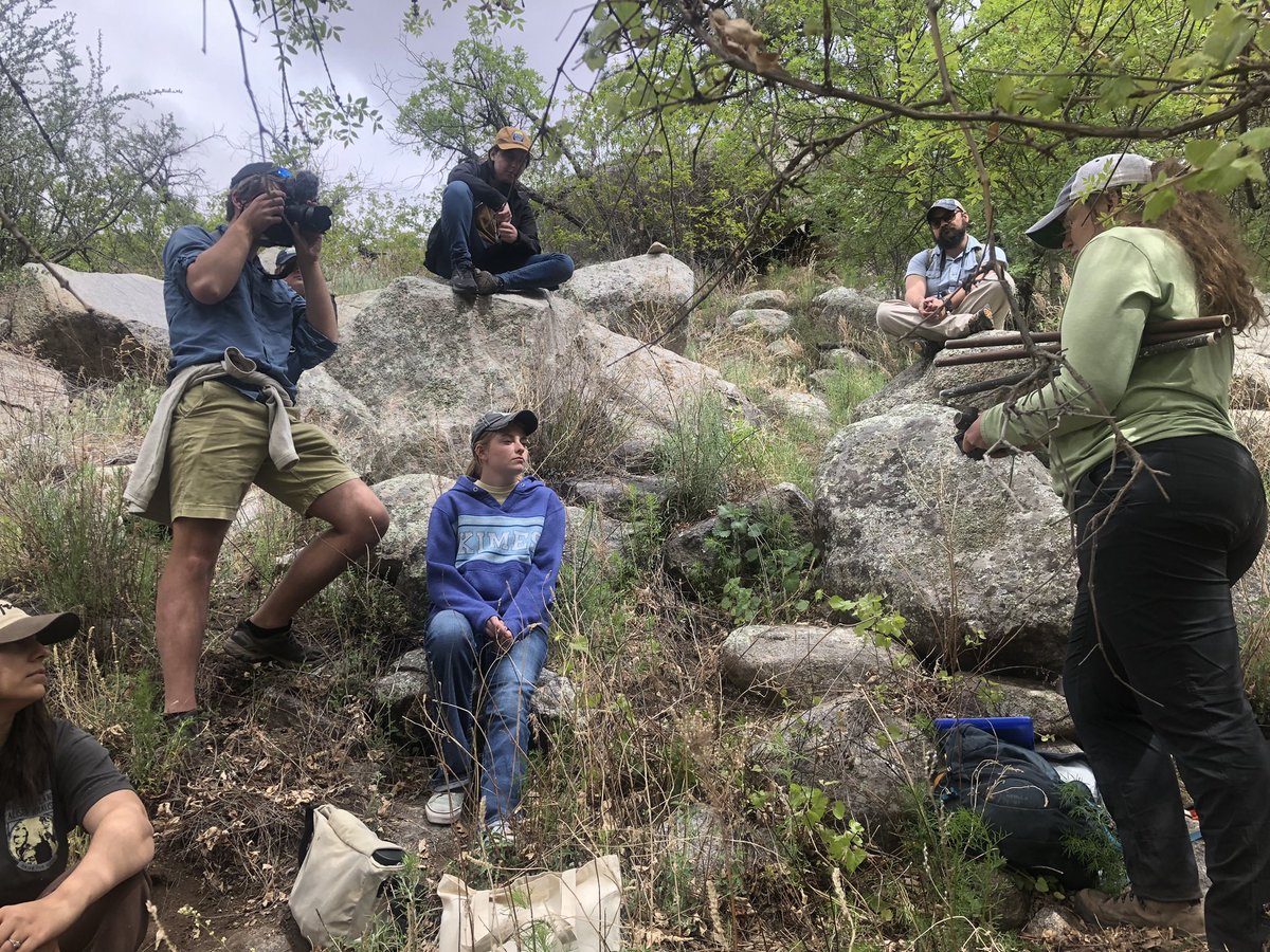 JenniferKFrey's tweet image. Now former grad student @haileynjacobson and I took students from @nmsu_fwce and @BosqueSchNews with Dan Shaw, to find one of world’s rarest chipmunks in the Organ Mountains NM and film a short video about their conservation for @BLMNewMexico. Stay tuned!