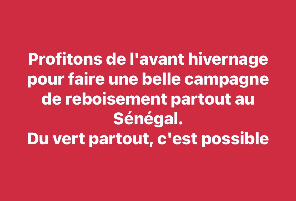 Du vert partout 🌳🌴☘️🍀🪴c’est possible ☝🏿🇸🇳👍🏾