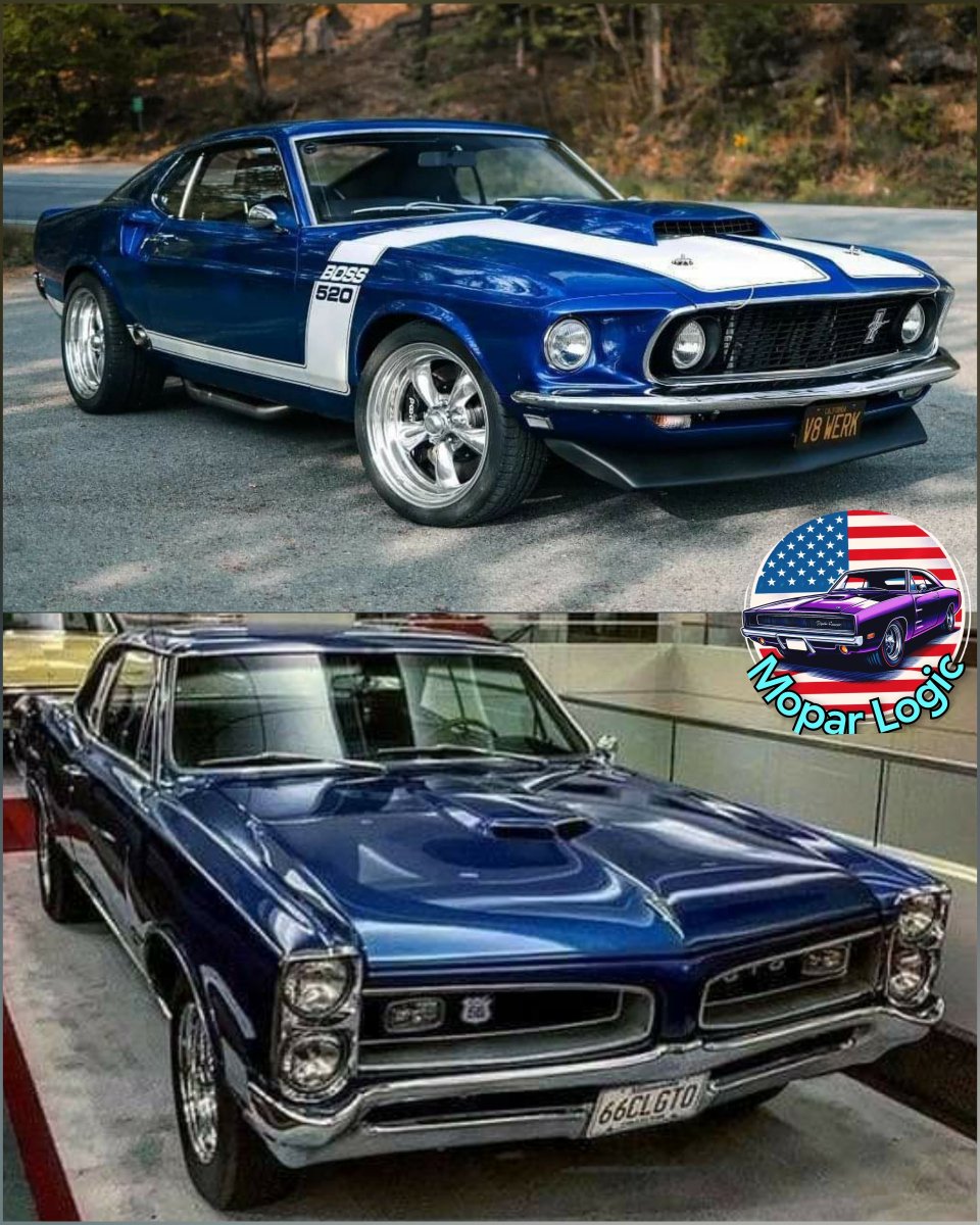Top or bottom?