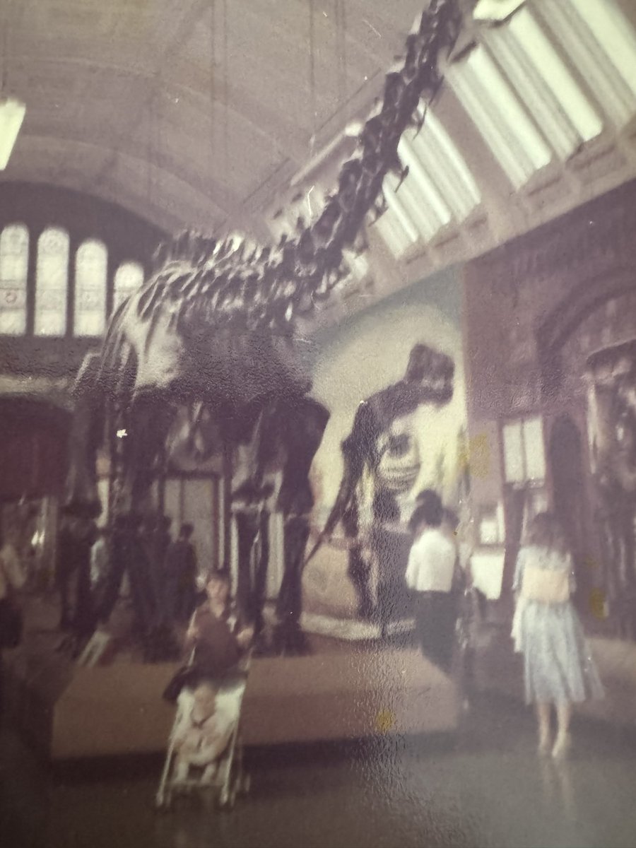 Doing some tidying at my Mum’s place and came across a stash of old random photos. They included two of what might have been my first trip to @NHM_London in 1978 (judging from the age of my sister plus questionable clothing choices) in the old dino gallery with Dippy