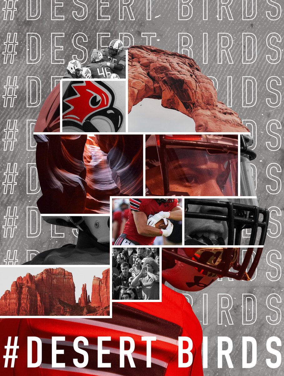 Can’t wait to find the next generation of #DesertBird difference makers! #compete