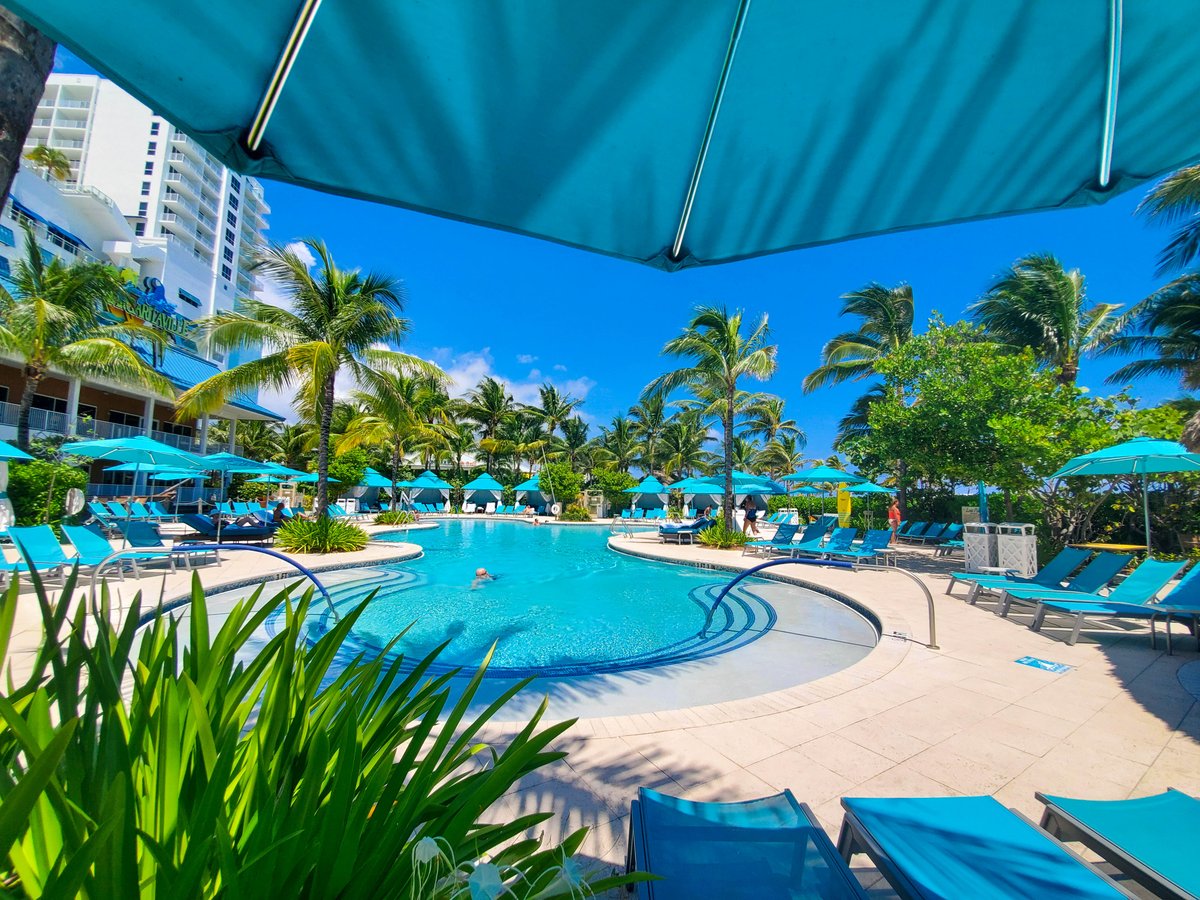 POV: Sunday Funday! 💙 #margaritaville #hollywoodfl #sundayfunday #visitflorida