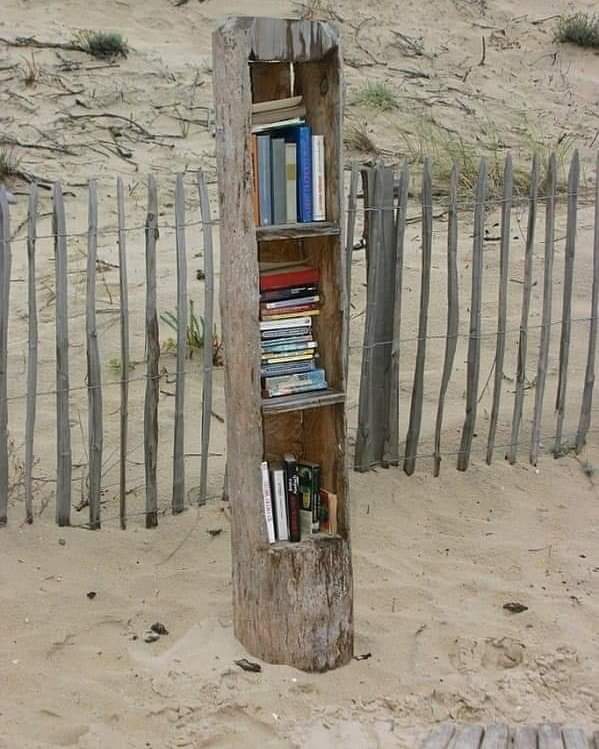 La biblioteca sulla spiaggia.
Io la trovo meravigliosa